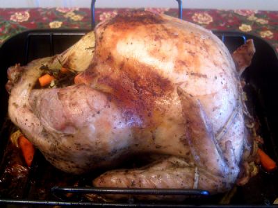 Thanksgiving Turkey