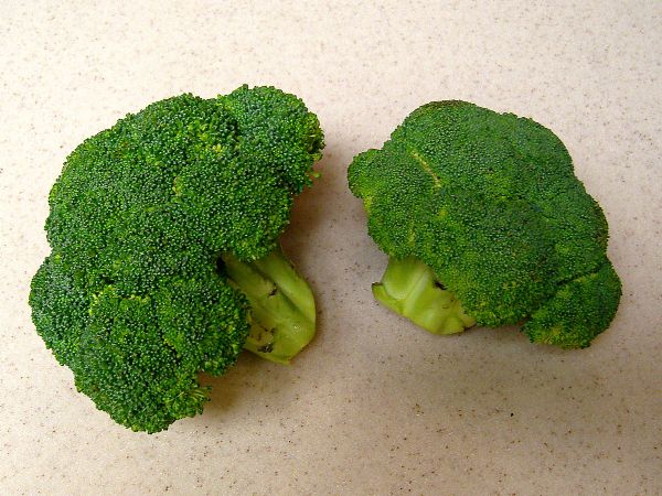 2 Fresh Broccoli Stalks