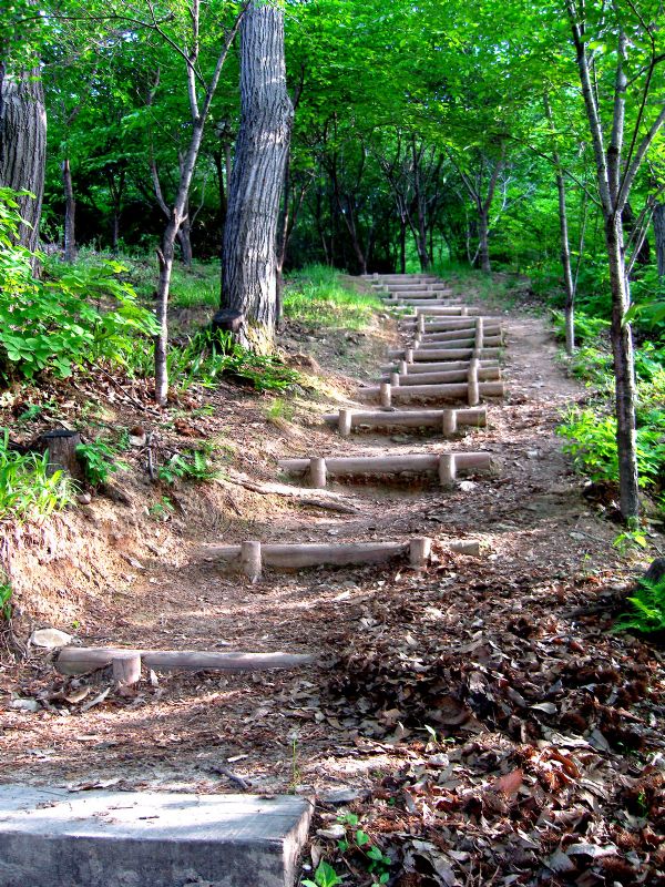 Stairs Leading the Mountain Path at Seolbongho Lake in Icheon