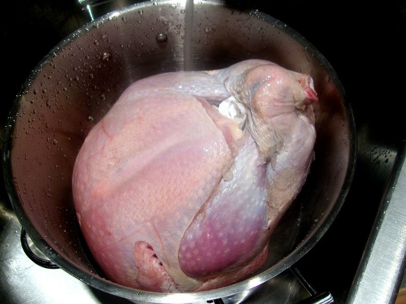 Rinse turkey, then place in large stock pot and cover with water.